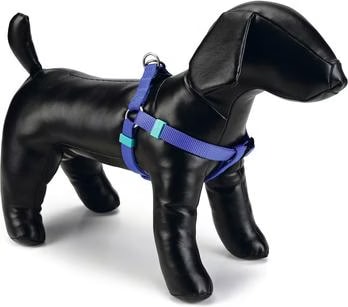 Comparer les prix de Beeztees BZ NYL HARNAIS UNI BLEU 35-60 (Chien, Gnral), Collier + laisse