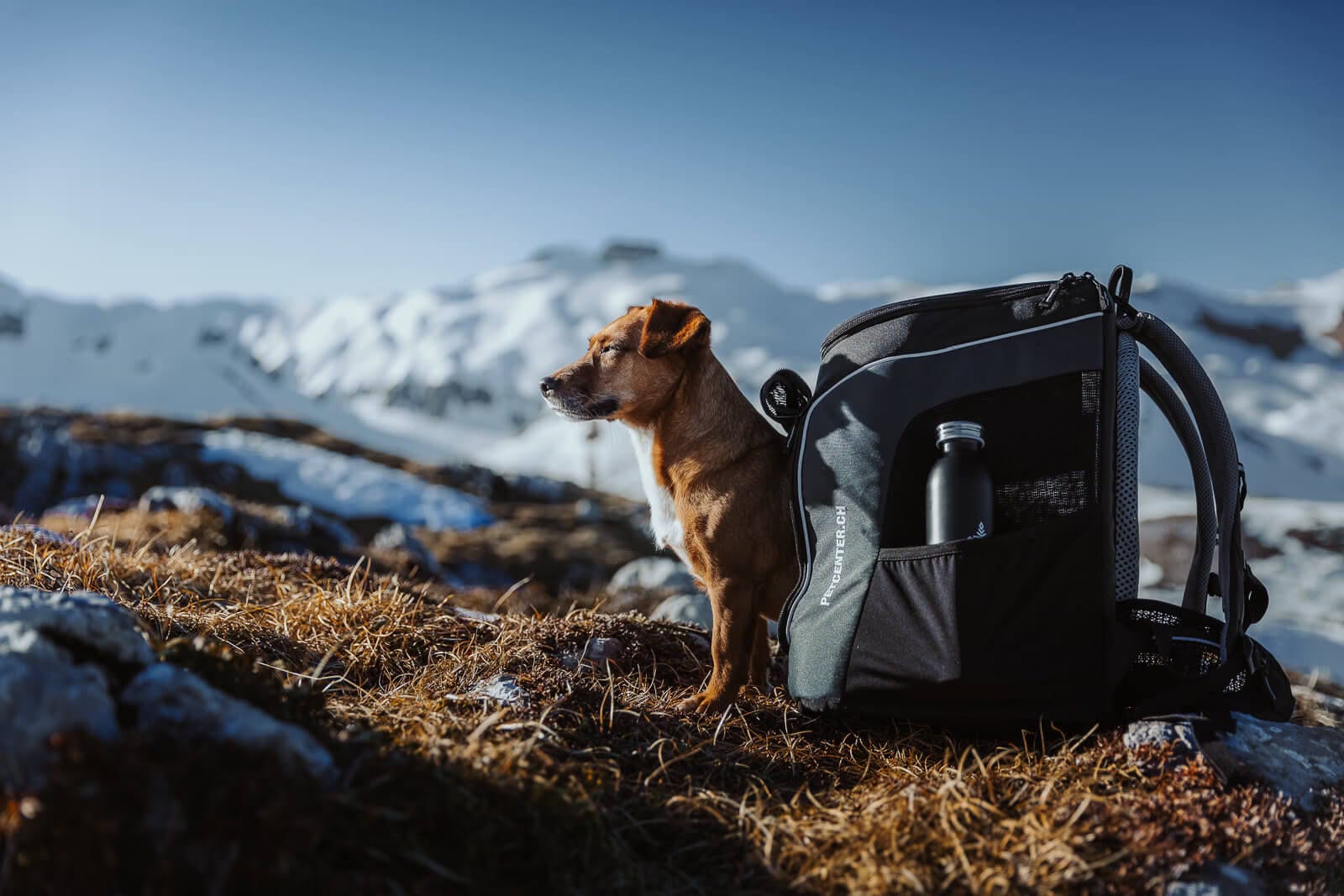 Zaino Trasportino Per Animali Kritter Planet - Pieghevole, Imbottito, Per Cani E Gatti Fino A 7kg, Ideale Per Viaggi - Foto 3
