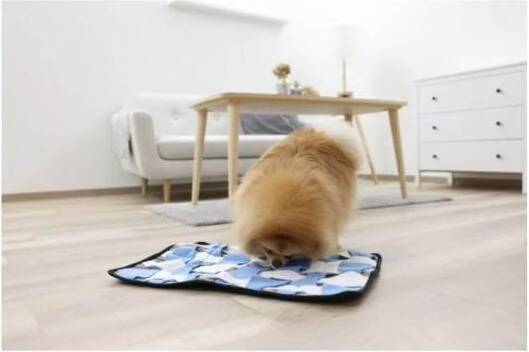 Tapis à renifler Kerbl Pet pour chien - L 60 x l 44 cm