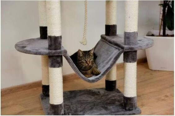 Arbre à chat - 180 cm - Kerbl Matteo