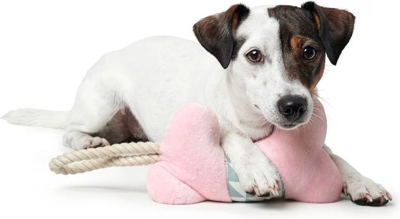 Hunter - Dogtoy Salima Ben, Pink 18cm - (67459)