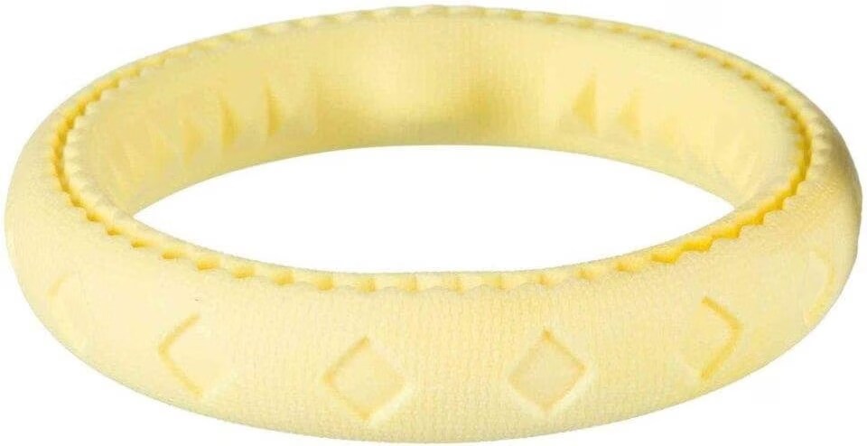 Anneau pour jeux d'eau 25 cm pour votre chien, couleur aléatoire.