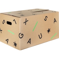 Galaxus Moving box (set of 10) (56 x 35 x 30 cm, 60 l)