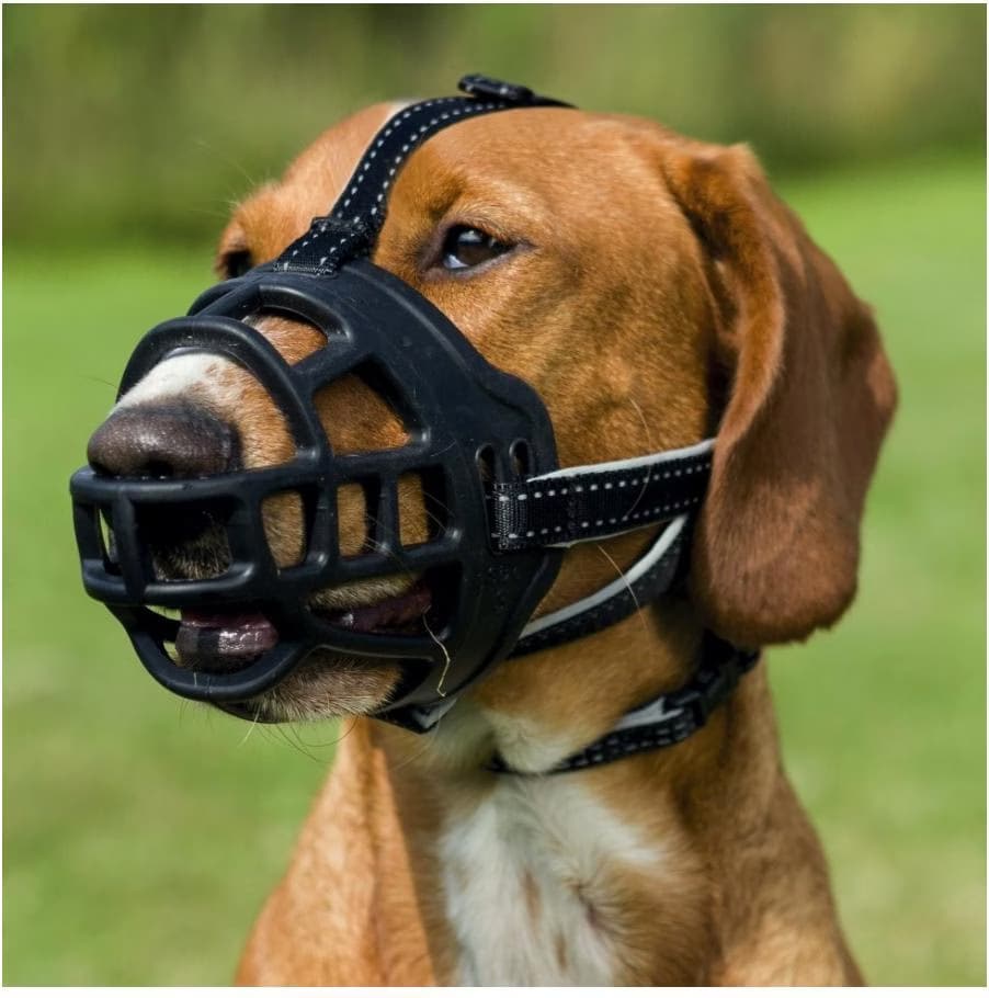 Muselière Muzzle Flex, en silicone Taille: XL. pour chien type Danois, Leonberg