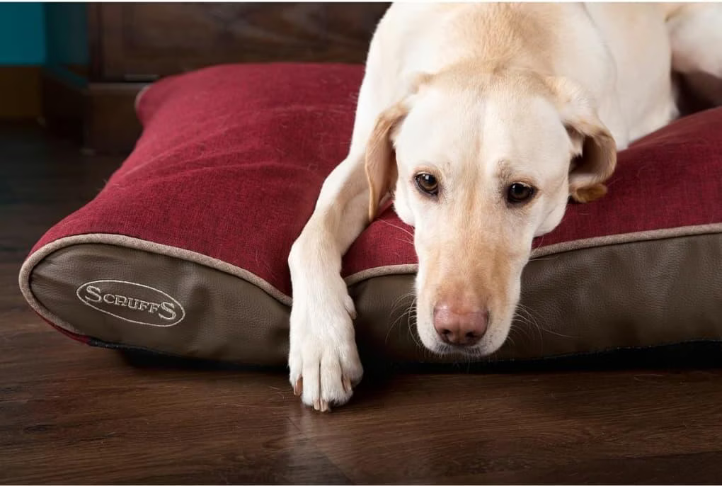 Scruffs & Tramps Coussin mémoire de forme pour animaux Hilton L Rouge