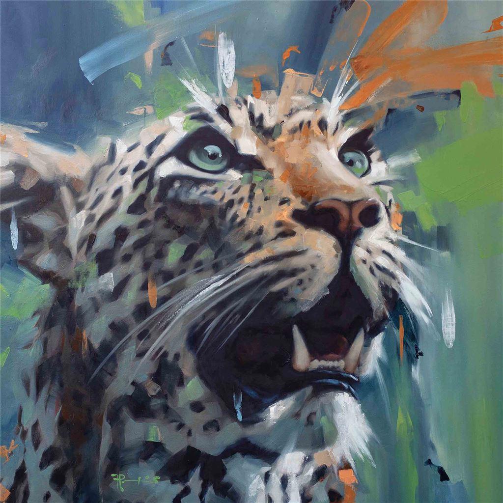 Frank Pretorius Leopard Canvas Print (40 x 40 cm) kaufen