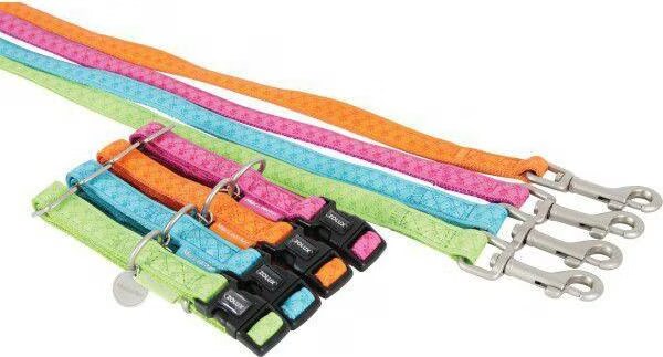 Zolux Mac Oda 15 mm (Chien, Sport canin), Collier + laisse