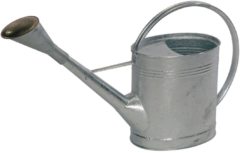 BRW Giesskanne Metall (12 l) kaufen
