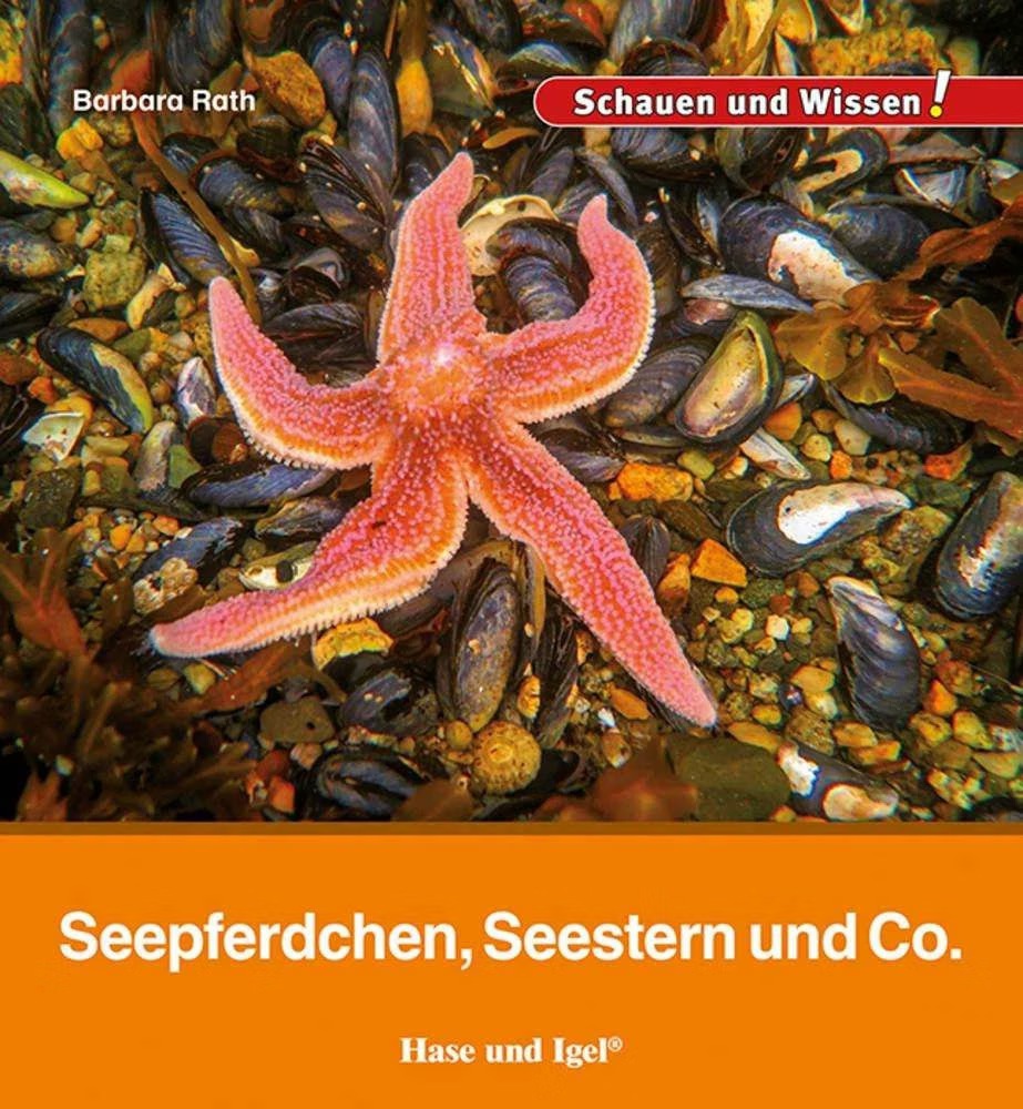 Seepferdchen, Seestern und Co. (Deutsch, Barbara Rath, 2024) - Galaxus