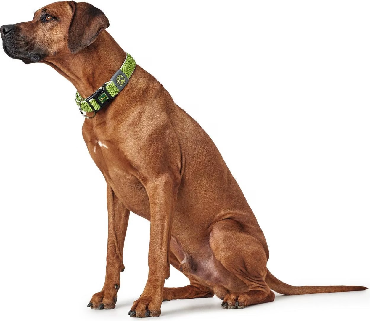 Meilleurs prix pour Collier pour Chien Hunter Vario Plus Fils Taille L Citron (40-60 cm)