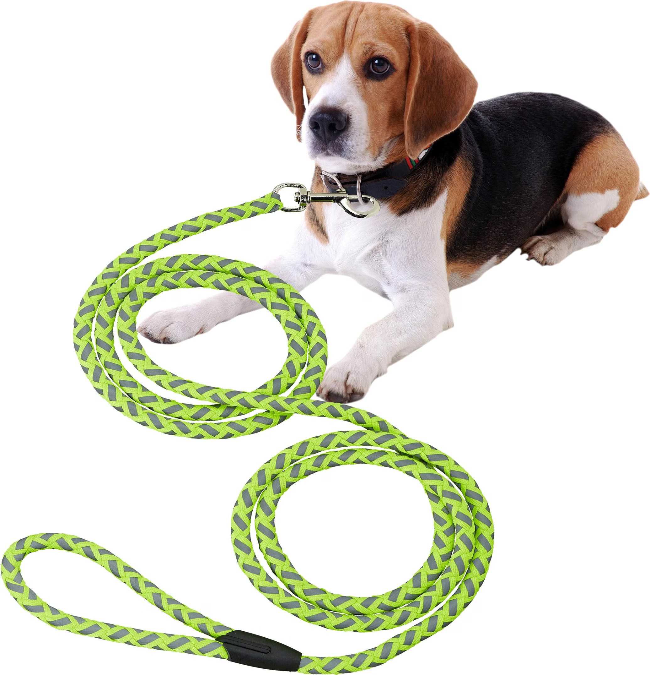 Comparer les prix de Relaxdays Laisse pour chien (Chien, Sport canin), Collier + laisse