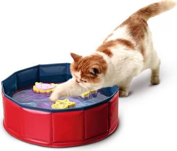 Comparer les prix de Beeztees Piscine de jeux (Jouets pour chats), Jouets pour chat