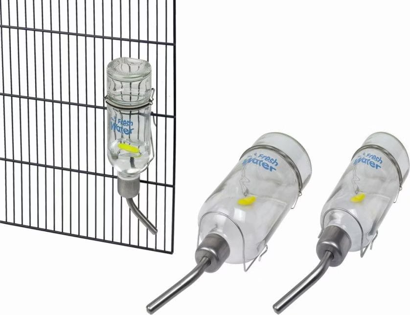 Meilleurs prix pour Nobby Gourde en verre (0.36l), Gamelle