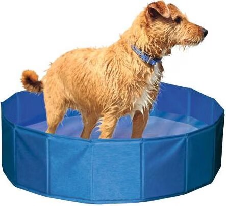 Kerbl Piscine pour chien (Jouets d'occupation), Jouets pour chien