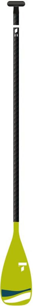 Bic BREEZE PADDLE FP (1-piece) kaufen