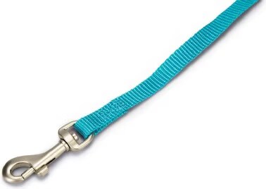 Beeztees BZ NYLON LAISSE UNI BLEU CLAIR 12 (Chien, Gnral), Collier + laisse