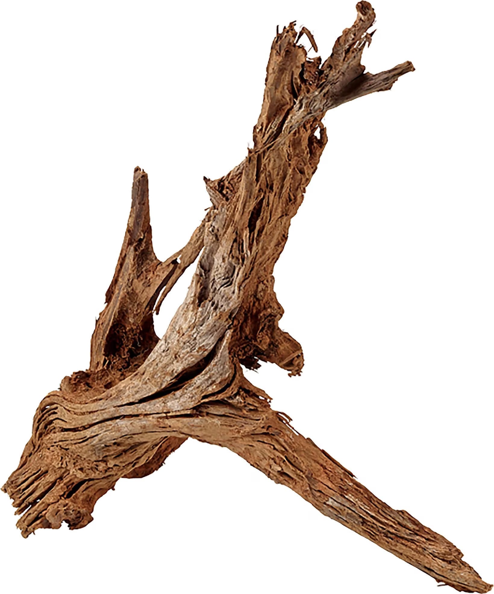 Meilleurs prix pour Amazonas Bois de mangrove par pièce sablé (Sable), Décoration d'aquarium