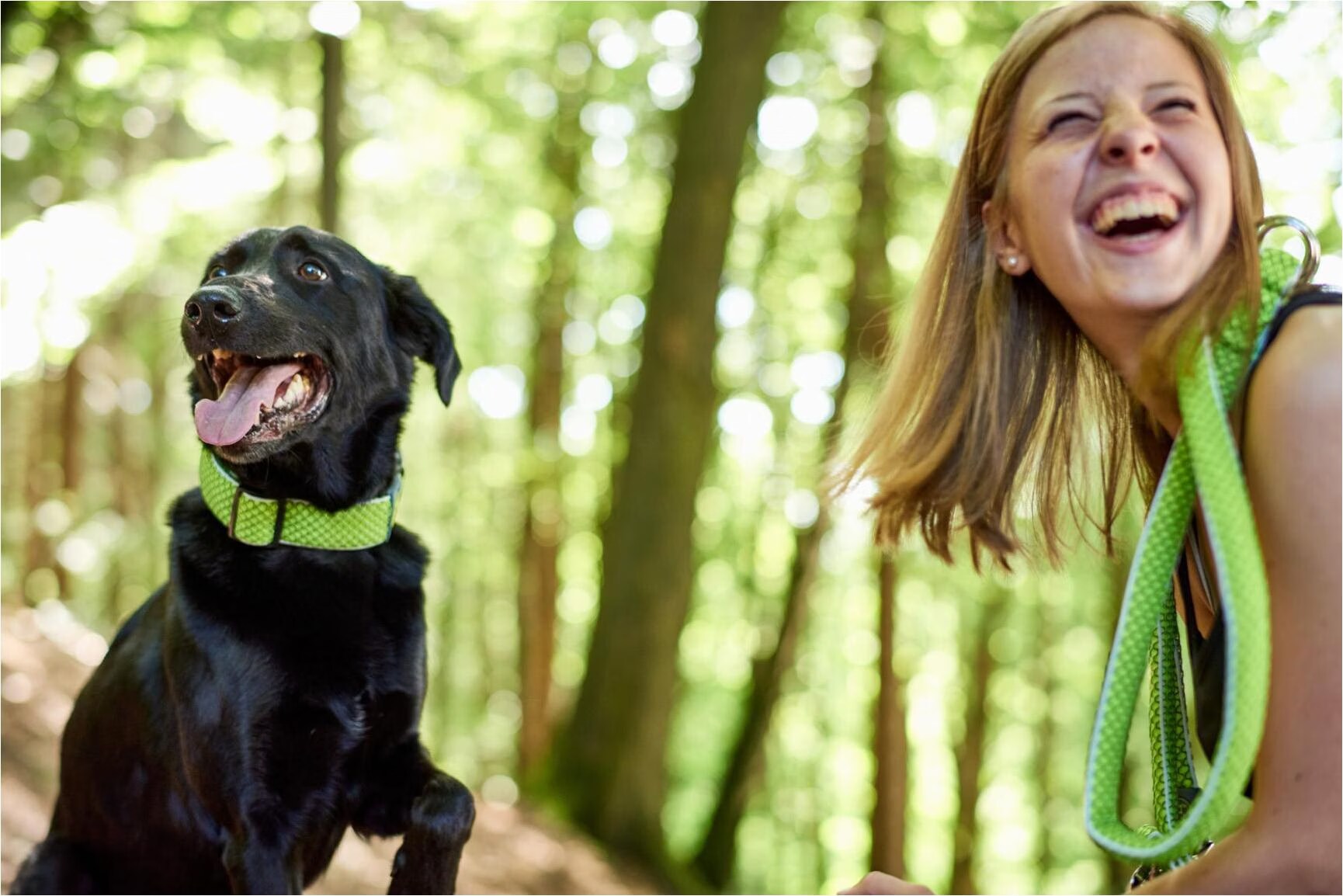 Collier pour Chien Hunter Vario Plus Fils Taille L Citron (40-60 cm)