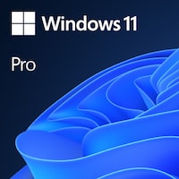 Microsoft Windows 11 Pro Download (1 x, Unlimited)