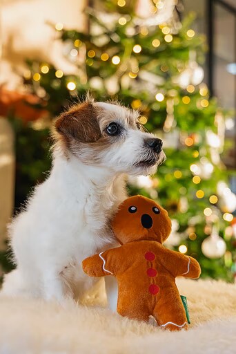 Beeztees Jouets de Noël en peluche, Jouets pour chien