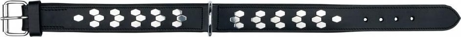 Meilleurs prix pour Active Collier Avec Rivets, L: 48–55 Cm/40 Mm, Noir - 1837 - Mon Animalerie