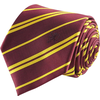Cinereplicas Harry Potter: Gryffindor - mit Ansteck-Pin