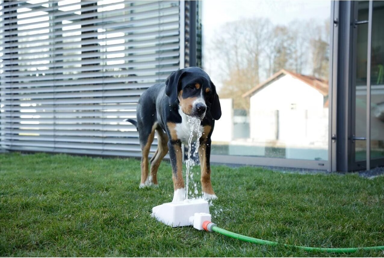 Kerbl Fontaine d'eau Bubble 25,5x18x8 cm Blanc et bleu