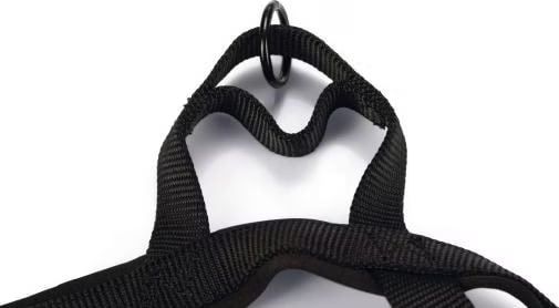 Meilleurs prix pour Beeztees BZ PREMI GESCHR PARINCA SW 62- (Chien, Gnral), Collier + laisse