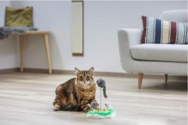 Kerbl MOUSE SWING Souris à fourrure sur ressort 17 cm de diamètre (Souris), Jouets pour chat