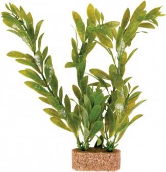 Comparer les prix de Trixie Plante pour aquarium, plastique, taille moyenne, 20 cm (Dcoration, Plantes), Dcoration d'aquarium