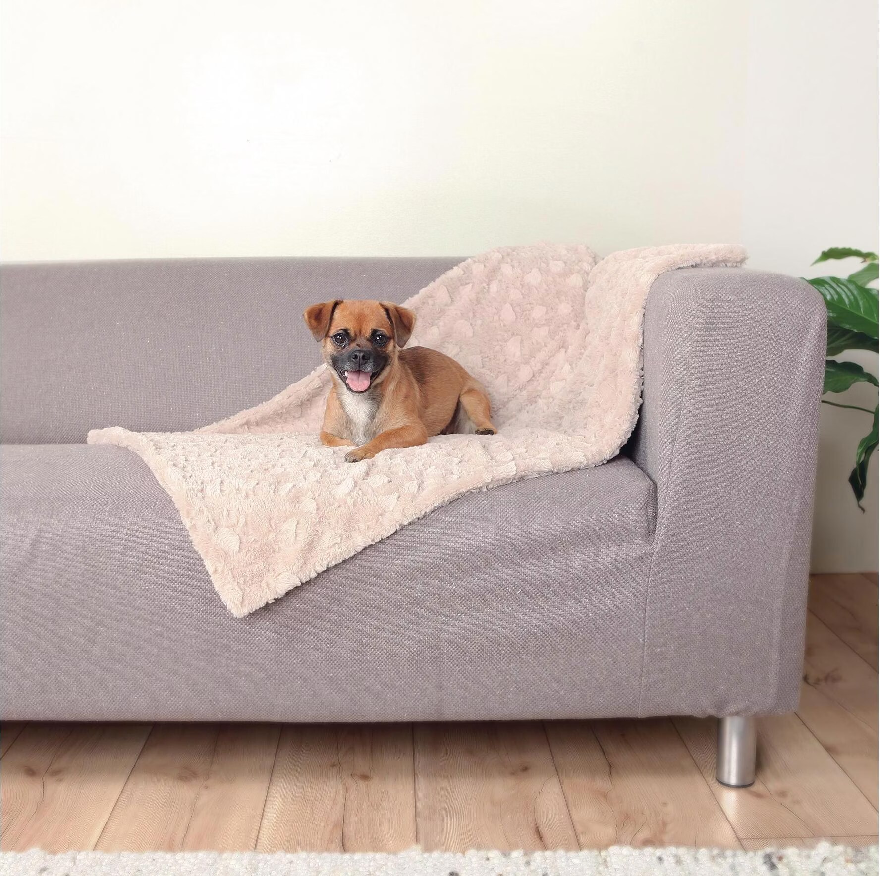 Couverture en peluche douce beige Trixie Cosy 