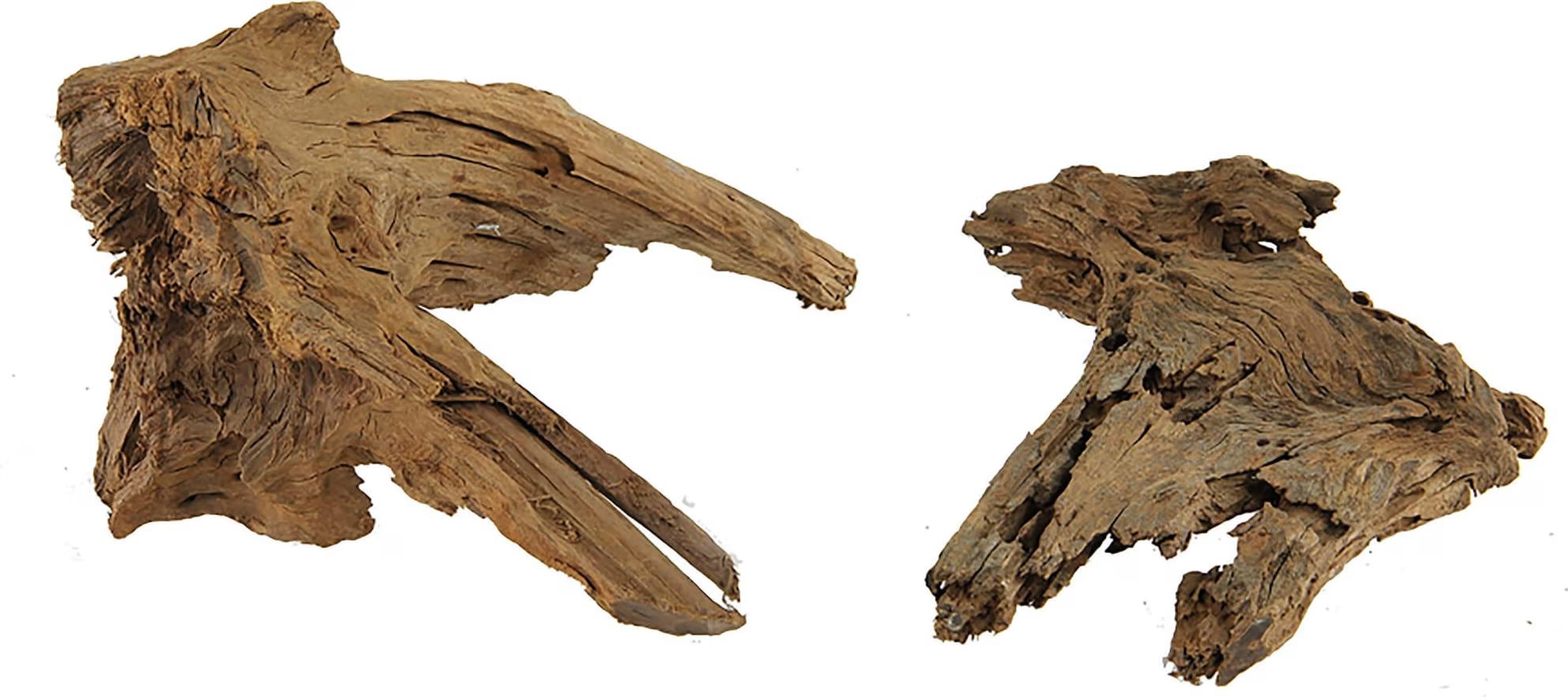 Hobby Bois de mangrove par pièce sablé (Sable), Décoration d'aquarium