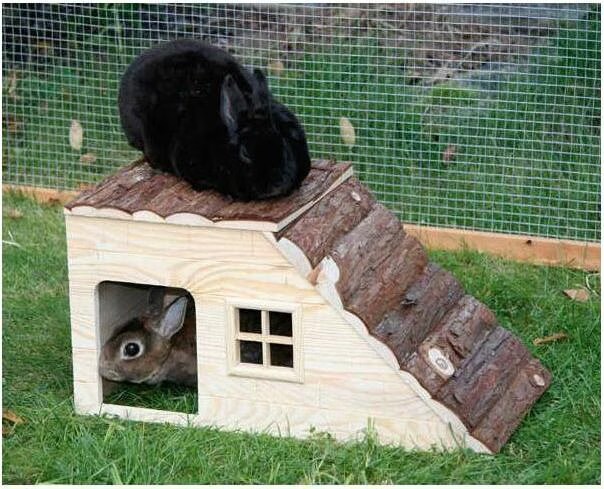 Abri pour rongeurs avec rampe Kerbl Nature