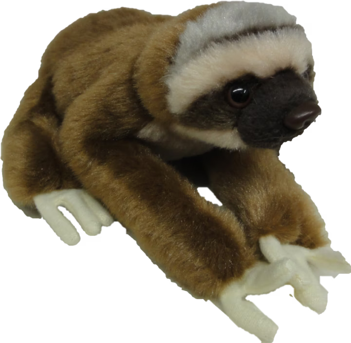 The best National Geographic Stuffed animals for 2025 on Galaxus