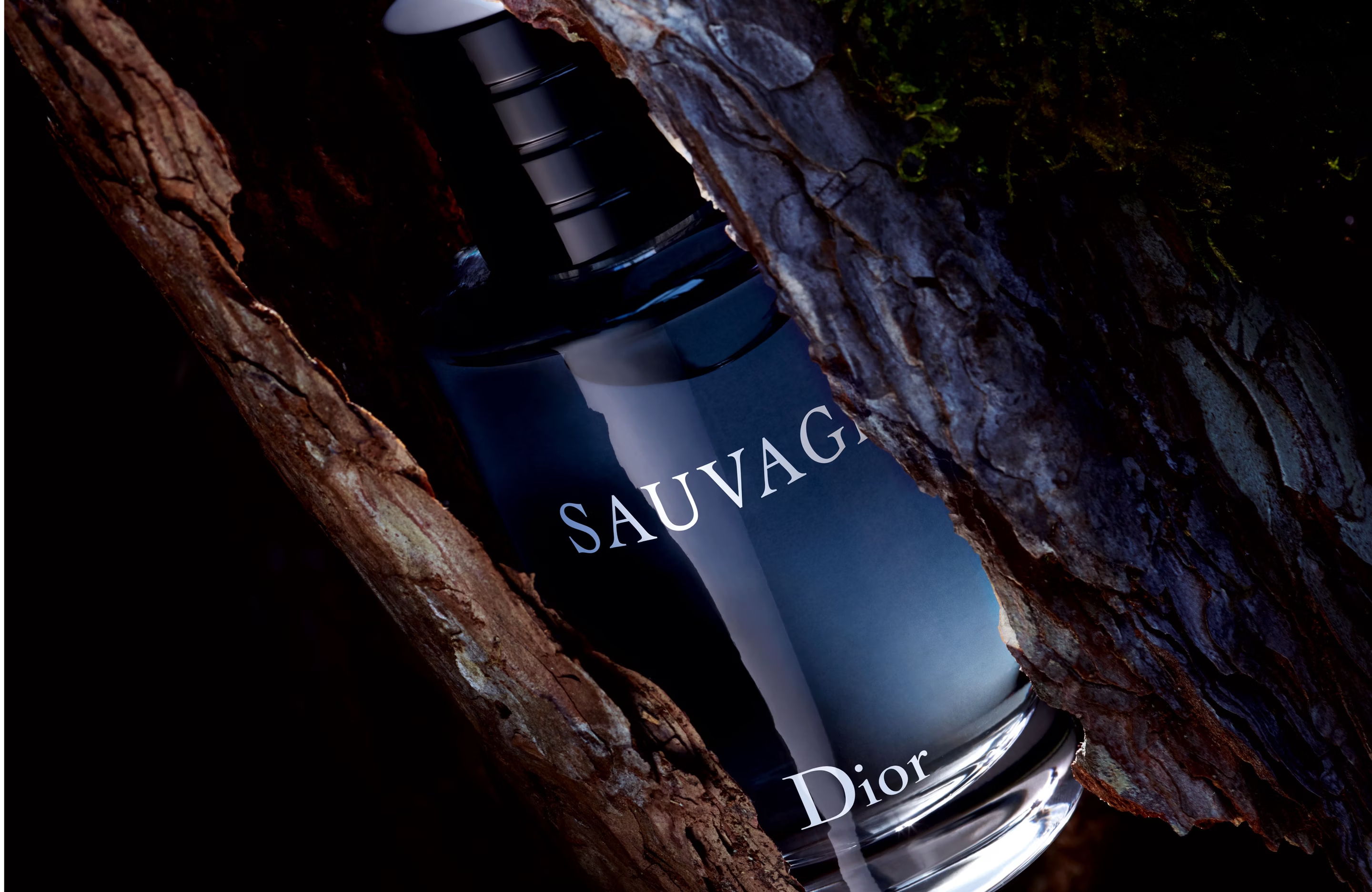 【新品】Dior SAUVAGE Eau de Toilette 100ml Dior Sauvage - kaufen bei Galaxus