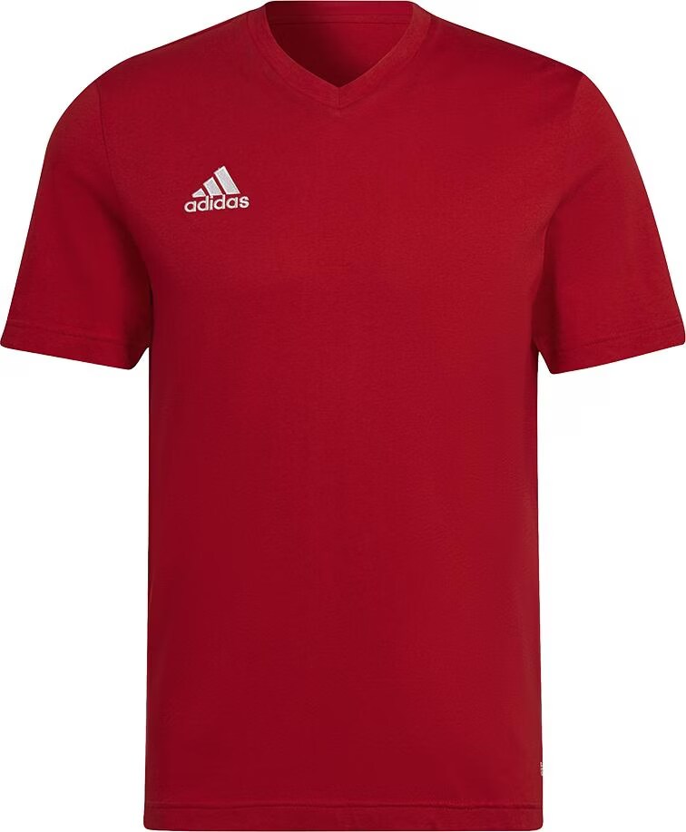 adidas entrada shirt