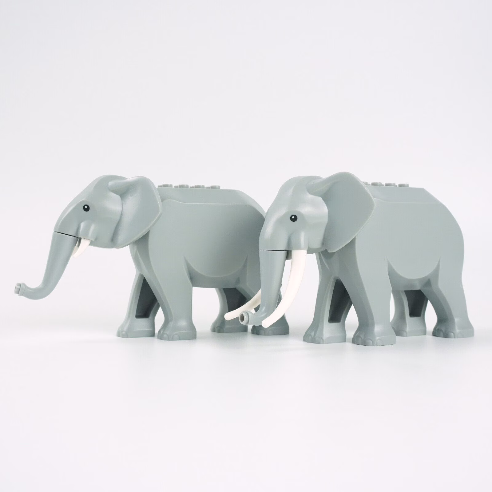 ELEPHANT 2冊 Zuny | Official Website | Proudct