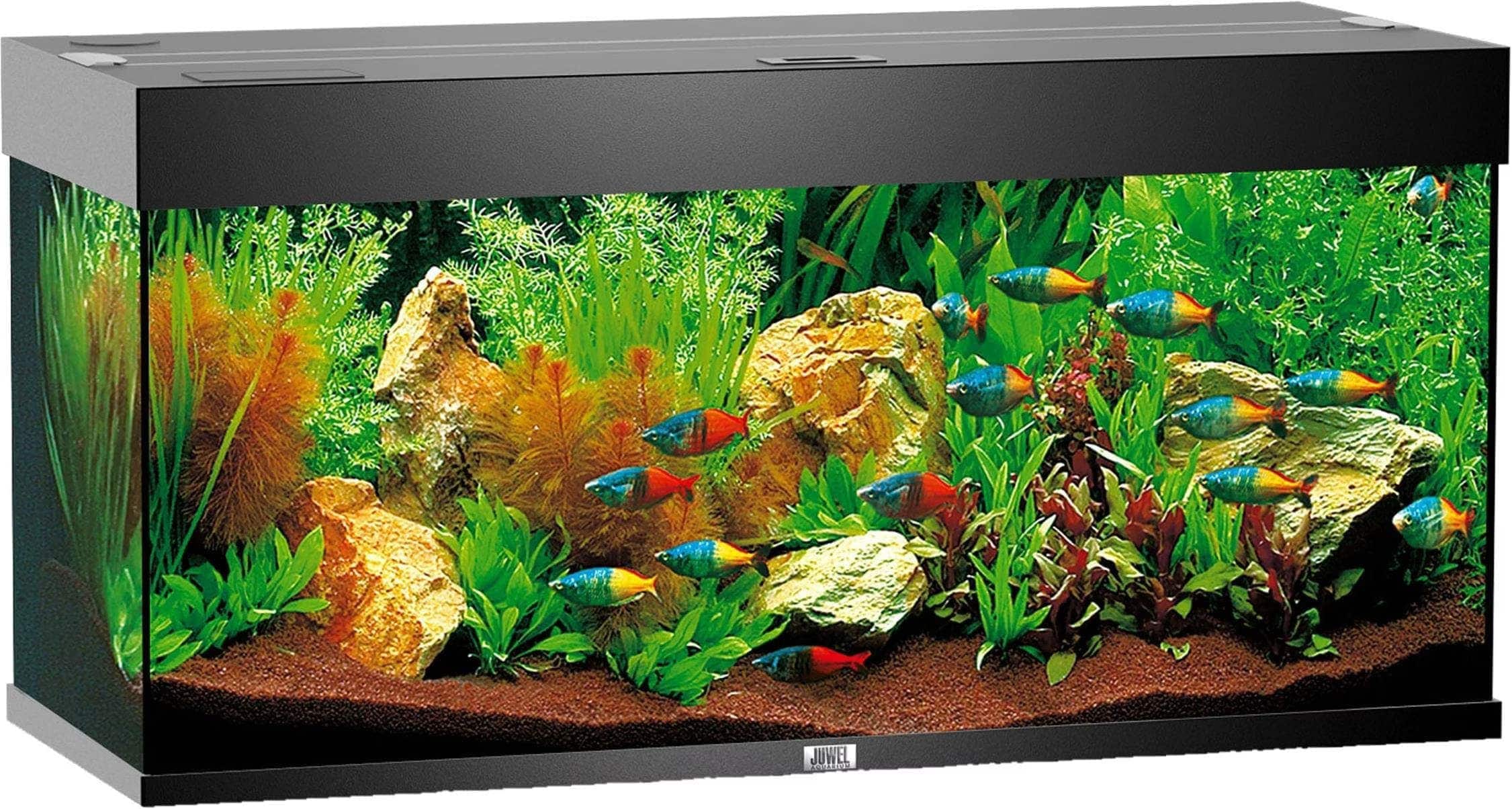 Rio⭐️ Juwel Aquarium Rio (180 l) - buy at Galaxus