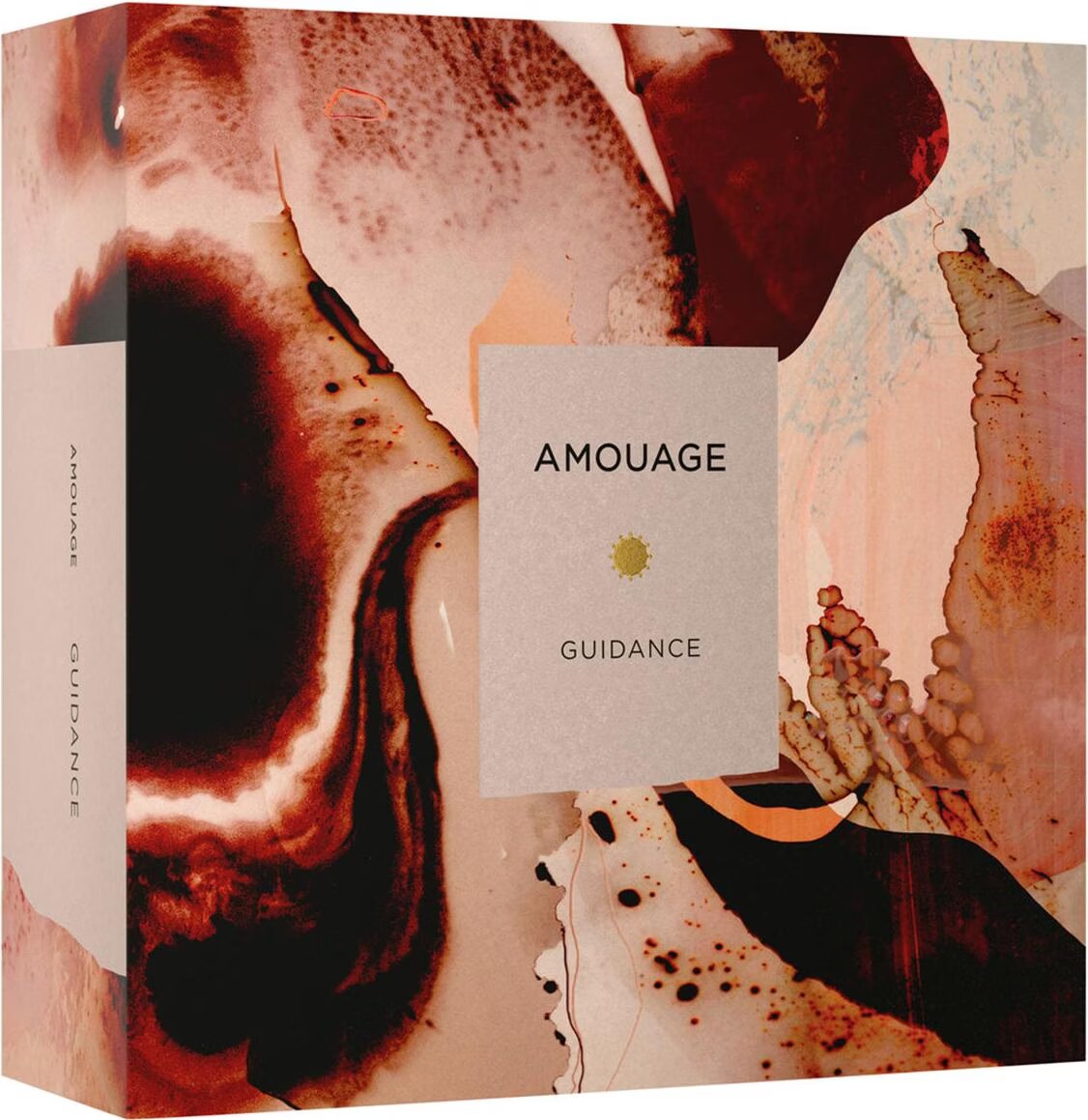 Amouage Guidance - buy at Galaxus